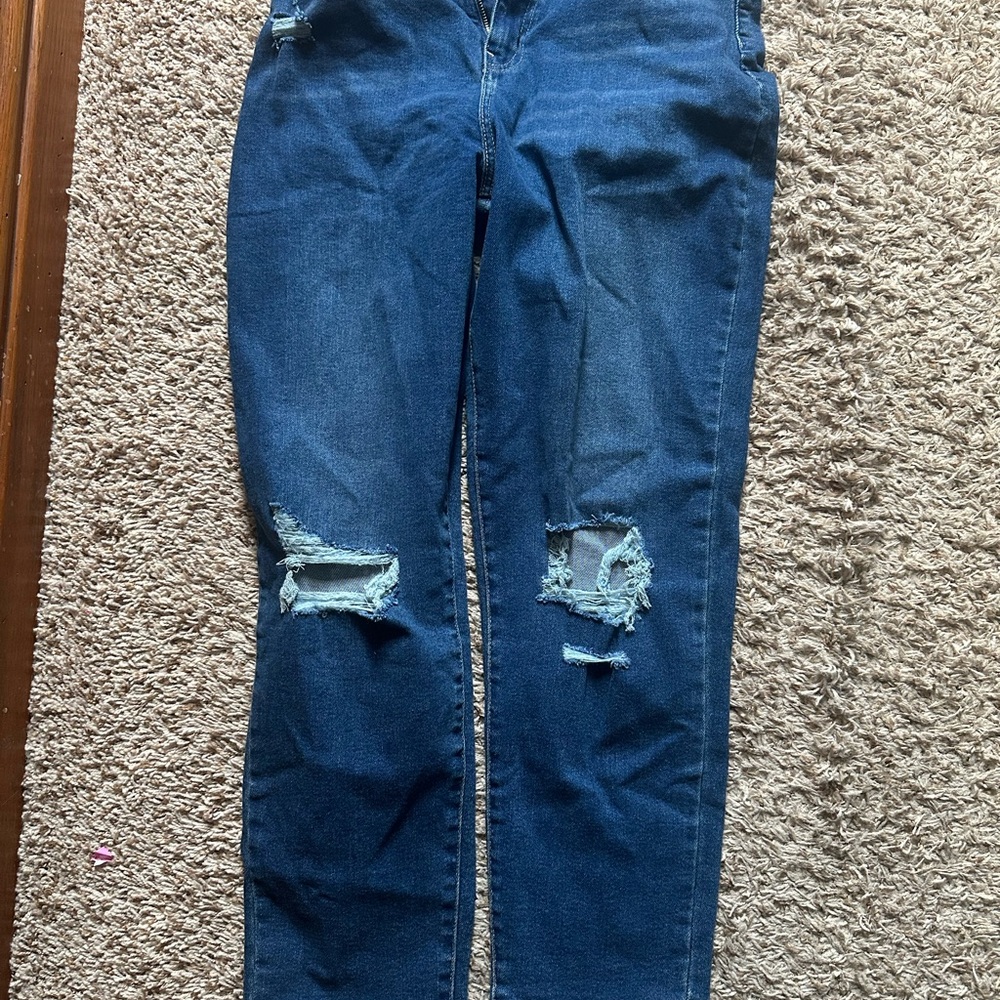 Signature by Levi Strauss Blue Skinny Jeans